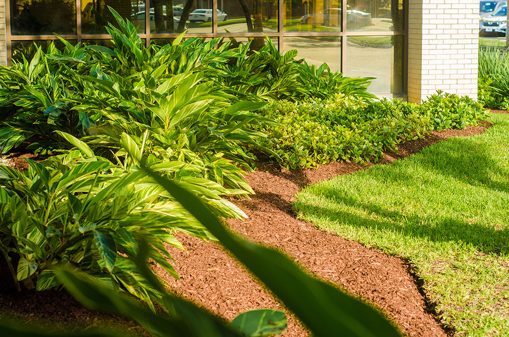 Landry's Landscape Portfolio